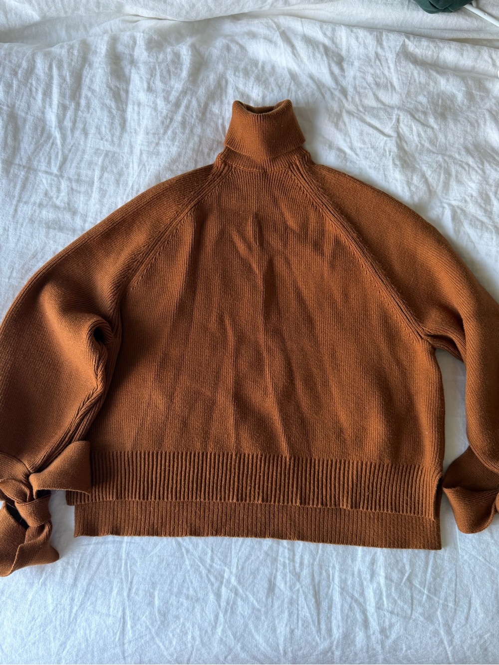 Zara Rust Brown Turtleneck Sweater